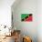 St. Kitts And Nevis Flag Design with Wood Patterning - Flags of the World Series-Philippe Hugonnard-Stretched Canvas displayed on a wall