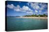 St. Kitts and Nevis, Nevis. Pinney's Beach-Walter Bibikow-Stretched Canvas