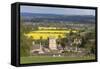 St. Lawrence Church and Oilseed Rape Fields-Stuart Black-Framed Stretched Canvas