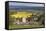 St. Lawrence Church and Oilseed Rape Fields-Stuart Black-Framed Stretched Canvas