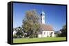 St. Leonhard Church, Froschhausen Near Murnau Am Staffelsee, Upper Bavaria, Bavaria, Germany-Markus Lange-Framed Stretched Canvas