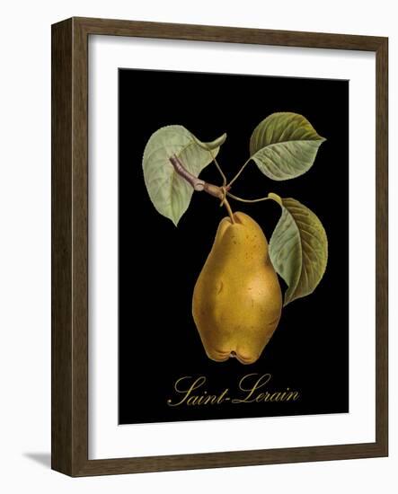 St. Lerain Pear-Mindy Sommers-Framed Giclee Print