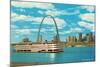 St. Louis Arch and Mississippi River-null-Mounted Art Print