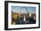 St. Louis arch with Old Courthouse and Mississippi River, MO-null-Framed Photographic Print