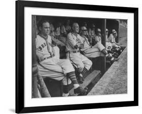 St. Louis Browns Players Sitting in the Dug Out During a Game-Peter Stackpole-Framed Premium Photographic Print