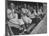 St. Louis Browns Players Sitting in the Dug Out During a Game-Peter Stackpole-Mounted Premium Photographic Print