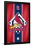 St. Louis Cardinals - Logo-null-Framed Poster
