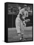 St. Louis Cardinals Player Stan Musial in Action During a Game-null-Framed Stretched Canvas