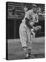 St. Louis Cardinals Player Stan Musial in Action During a Game-null-Stretched Canvas