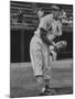 St. Louis Cardinals Player Stan Musial in Action During a Game-null-Mounted Photographic Print