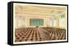 St. Louis Cathedral Auditorium-null-Framed Stretched Canvas