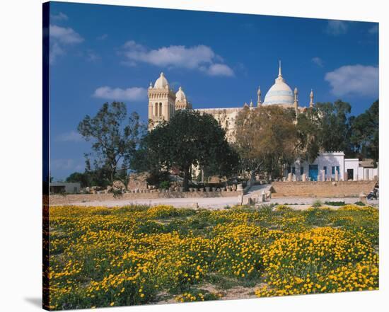 St. Louis Cathedral in Carthage, Tunis, Tunisia-null-Stretched Canvas