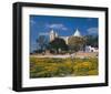 St. Louis Cathedral in Carthage, Tunis, Tunisia-null-Framed Art Print
