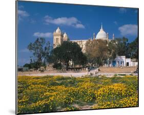 St. Louis Cathedral in Carthage, Tunis, Tunisia-null-Mounted Art Print