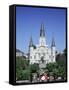 St. Louis Christian Cathedral in Jackson Square, French Quarter, New Orleans, Louisiana, USA-Gavin Hellier-Framed Stretched Canvas