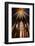 St. Louis Ix Commonly St. Louis, the Holy Chapel, Paris, France, Europe-Godong-Framed Photographic Print