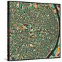 St. Louis Map-Jazzberry Blue-Stretched Canvas