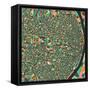 St. Louis Map-Jazzberry Blue-Framed Stretched Canvas
