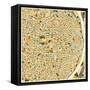 St. Louis Map-Jazzberry Blue-Framed Stretched Canvas