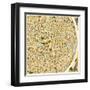 St. Louis Map-Jazzberry Blue-Framed Art Print