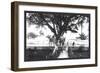 St. Louis, Mississippi-William Henry Jackson-Framed Art Print