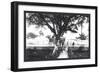 St. Louis, Mississippi-William Henry Jackson-Framed Art Print