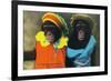 St. Louis, Missouri - Forest Park Zoo Chimpanzees in Costume-Lantern Press-Framed Art Print