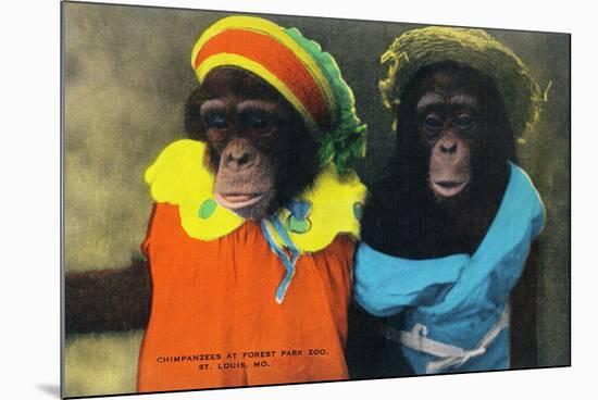 St. Louis, Missouri - Forest Park Zoo Chimpanzees in Costume-Lantern Press-Mounted Art Print