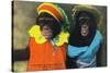 St. Louis, Missouri - Forest Park Zoo Chimpanzees in Costume-Lantern Press-Stretched Canvas