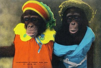 https://imgc.allpostersimages.com/img/posters/st-louis-missouri-forest-park-zoo-chimpanzees-in-costume_u-L-Q1JVX380.jpg?artPerspective=n