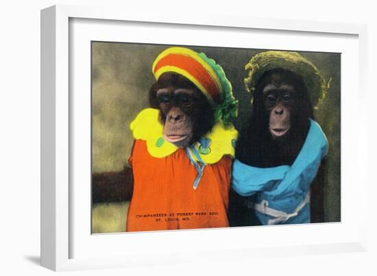 St. Louis, Missouri - Forest Park Zoo Chimpanzees in Costume-Lantern Press-Framed Art Print