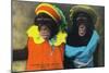 St. Louis, Missouri - Forest Park Zoo Chimpanzees in Costume-Lantern Press-Mounted Art Print