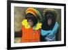 St. Louis, Missouri - Forest Park Zoo Chimpanzees in Costume-Lantern Press-Framed Premium Giclee Print