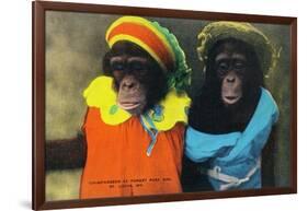 St. Louis, Missouri - Forest Park Zoo Chimpanzees in Costume-Lantern Press-Framed Art Print