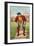 St. Louis, MO, St. Louis Browns, Jumbo McGinnis, Baseball Card-Lantern Press-Framed Art Print