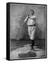 St. Louis, MO, St. Louis Browns, W. H. Robinson, Baseball Card-Lantern Press-Framed Stretched Canvas