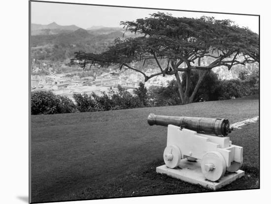 St. Lucia Cannon-null-Mounted Photographic Print