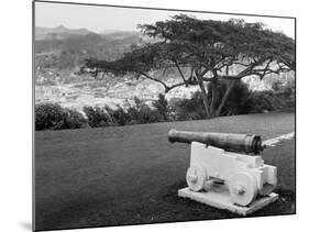 St. Lucia Cannon-null-Mounted Photographic Print