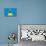 St. Lucia Flag Design with Wood Patterning - Flags of the World Series-Philippe Hugonnard-Stretched Canvas displayed on a wall
