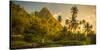 St Lucia, Soufriere, Sugar Beach Resort, Formerly Jalousie Plantation Resort and Gros Piton-Alan Copson-Stretched Canvas