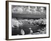 St. Lucia-J.D. Mcfarlan-Framed Photographic Print