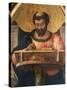 St Luke at His Desk, Detail from Altarpiece of St Luke-Andrea Mantegna-Stretched Canvas