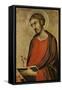St. Luke-Simone Martini-Framed Stretched Canvas