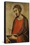 St. Luke-Simone Martini-Framed Stretched Canvas