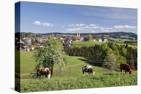 St. Maergen, Spring, Glottertal Valley, Black Forest, Baden Wurttemberg, Germany-Markus Lange-Stretched Canvas