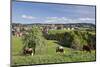 St. Maergen, Spring, Glottertal Valley, Black Forest, Baden Wurttemberg, Germany-Markus Lange-Mounted Photographic Print