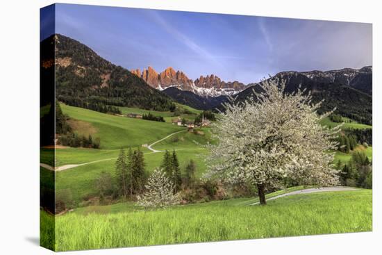 St. Magdalena and the Odle Group. Funes Valley South Tyrol Dolomites Italy Europe-ClickAlps-Stretched Canvas