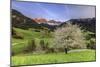 St. Magdalena and the Odle Group. Funes Valley South Tyrol Dolomites Italy Europe-ClickAlps-Mounted Photographic Print