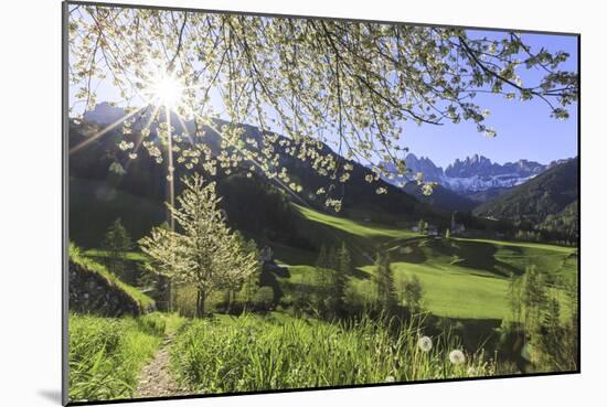 St. Magdalena and the Odle Group. Funes Valley South Tyrol Dolomites Italy Europe-ClickAlps-Mounted Photographic Print