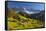St. Magdalena, Val Di Funes, Trentino-Alto Adige, Dolomites, South Tyrol, Italy, Europe-Miles Ertman-Framed Stretched Canvas